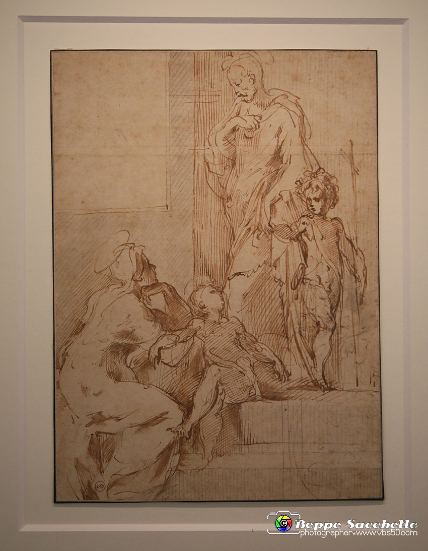 VBS_0050 - Mostra Nel segno di Raffaello.jpg